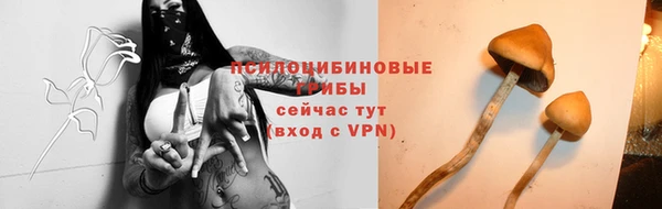 дживик Алексин