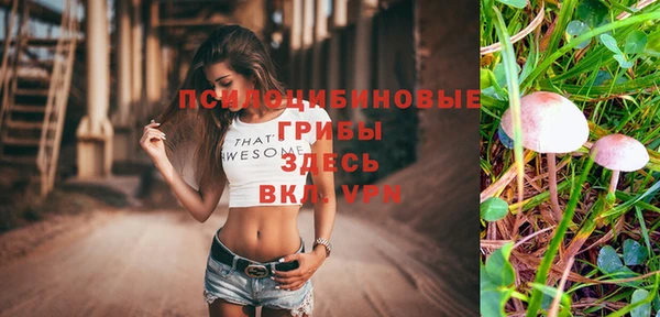 стаф Лагань