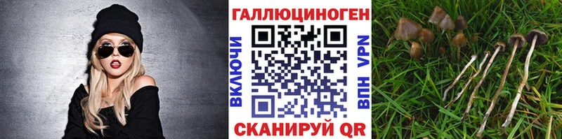 Псилоцибиновые грибы Magic Shrooms  Новокузнецк 