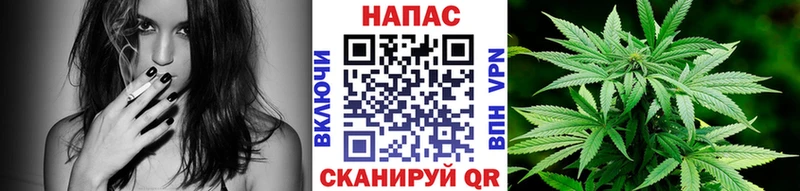Шишки марихуана White Widow  omg ссылки  Новокузнецк  даркнет сайт 